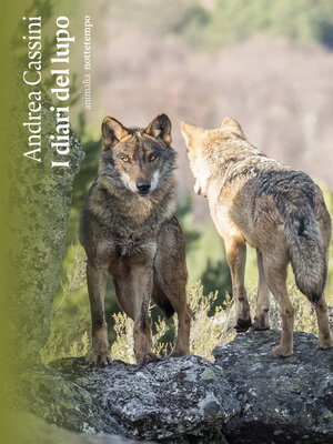 cover image of I diari del lupo